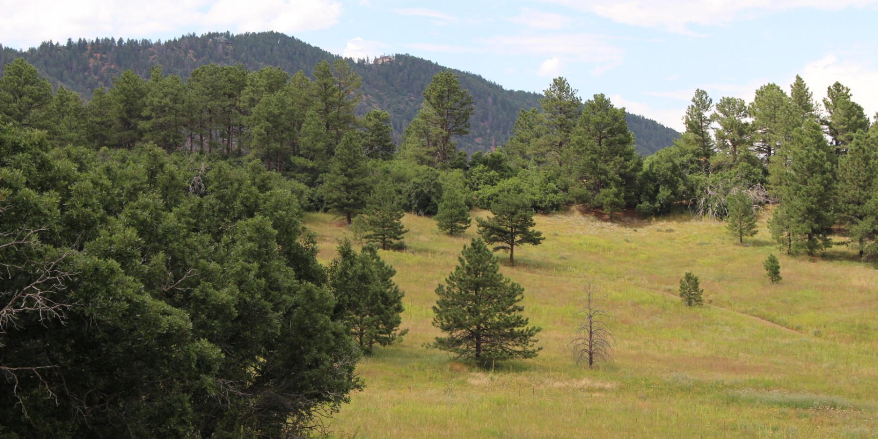 14271 Timber Trail, Larkspur, CO 80118